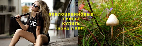 спайс Абаза