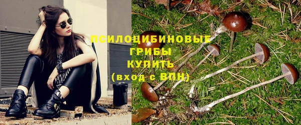спиды Абдулино