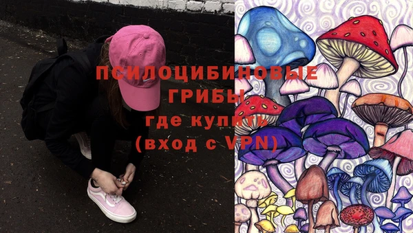 спайс Абаза