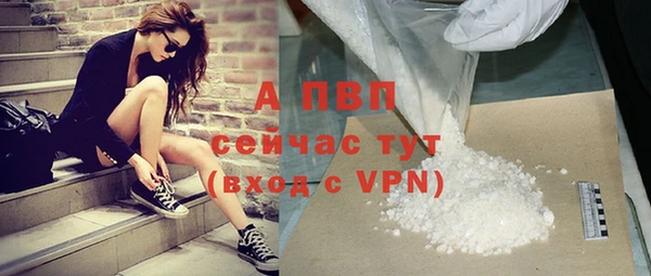 сатива Абинск
