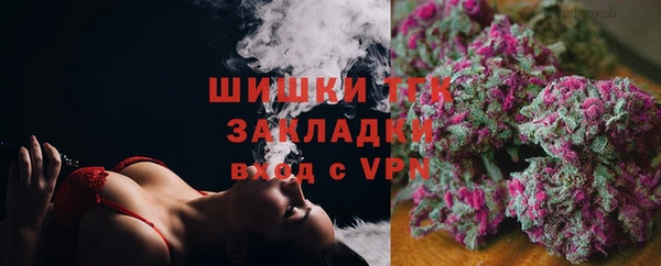 сатива Абинск
