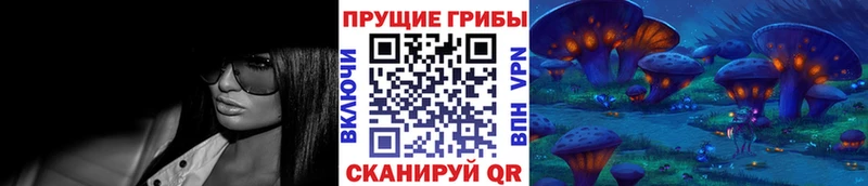 где можно купить наркотик  Тетюши  нарко площадка Telegram  Галлюциногенные грибы Psilocybe 
